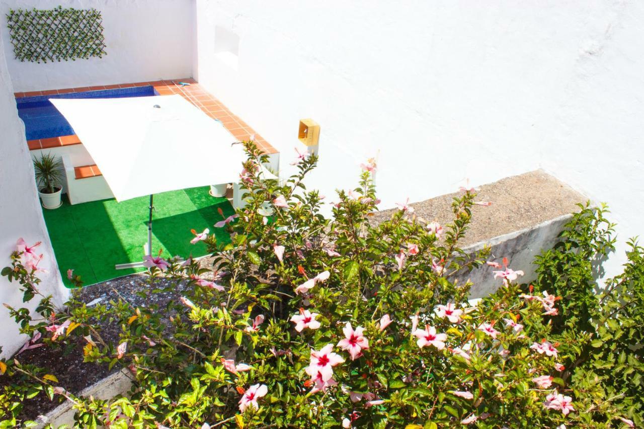 Casa Dos Tios Estremoz-Veiros Villa Ngoại thất bức ảnh